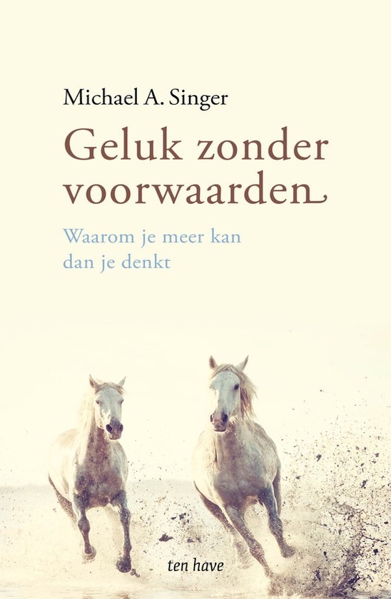 Boek geluk zonder voorwaarden